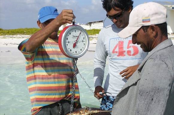 Latin American Fisheries Fellowship Fellow Aristo weighs a lobster with locals in Belize.