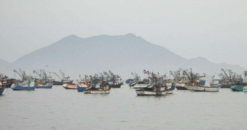 Anchoveta fishing boats on the ocean.