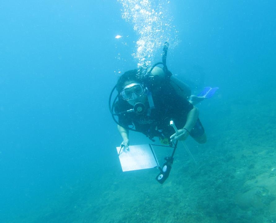 Juliana conducting underwater survey 