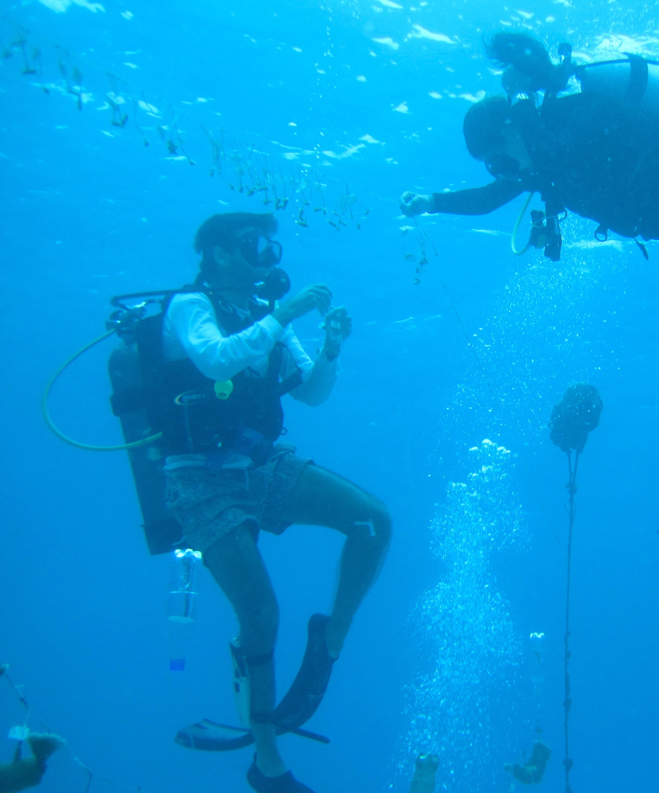 Pablo scuba diving