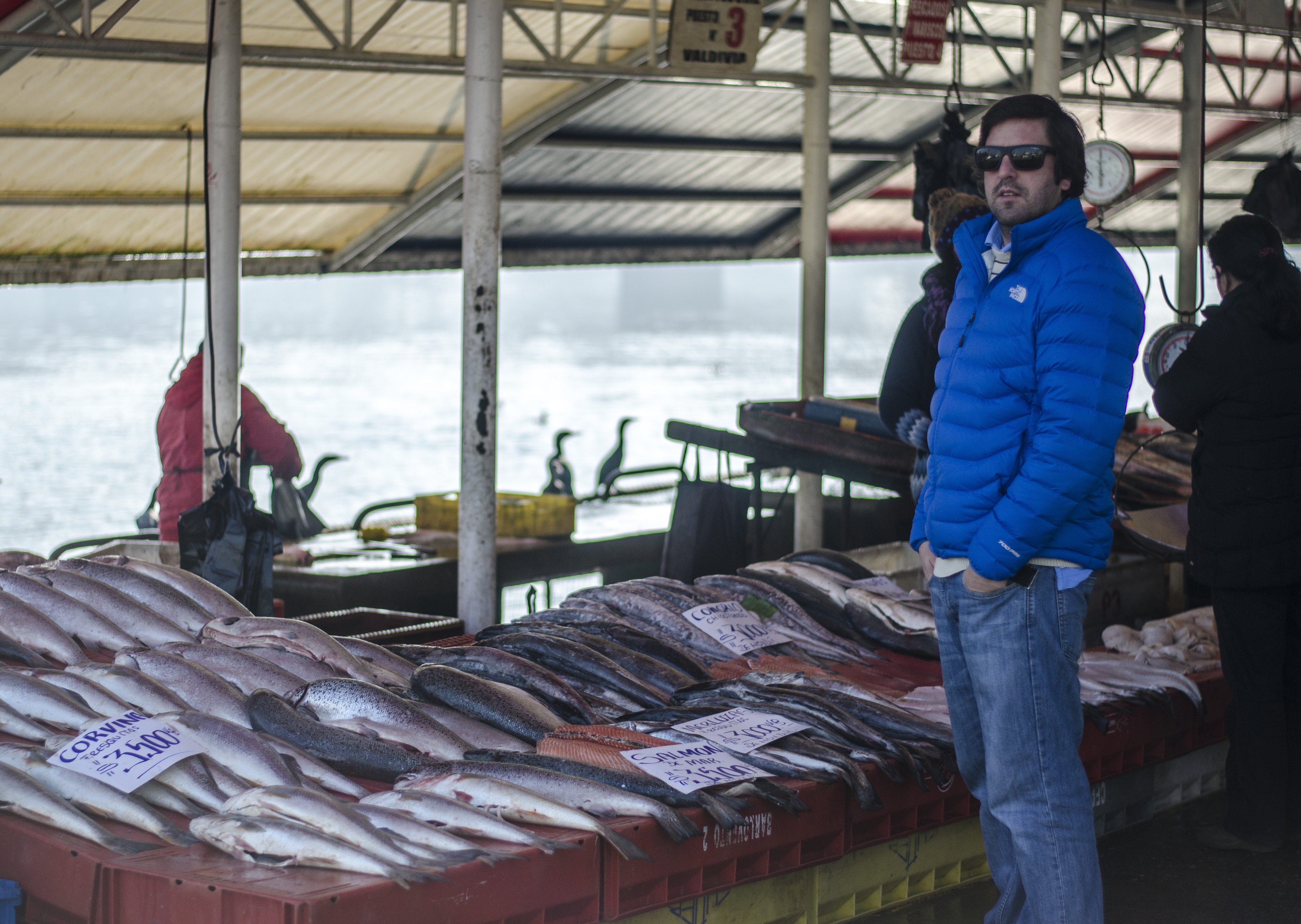 Matias in Peruvian fish market